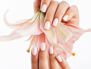 Manicure and Pedicure for the bride